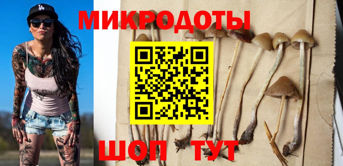Псилоцибиновые грибы MAGIC MUSHROOMS  Вход с VPN  Щёлково  Галлюциногенные грибы MAGIC MUSHROOMS 