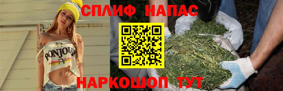 Каннабис сатива Щёлково